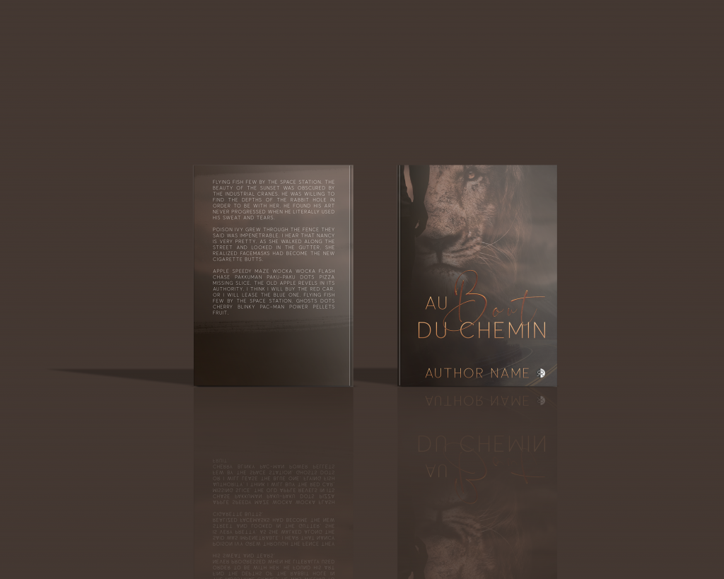 mockup-couverture-livre-au bout du chemin-rren-design-maureenbouxin