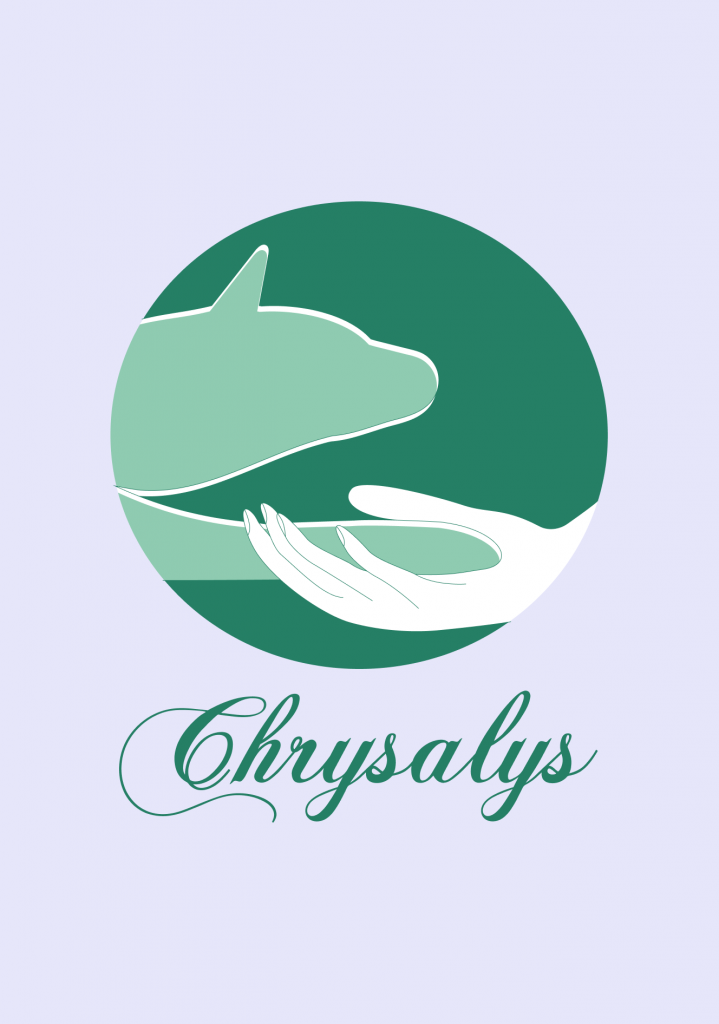 logo-chysalys-mediation-animal-rren-design-maureenbouxin